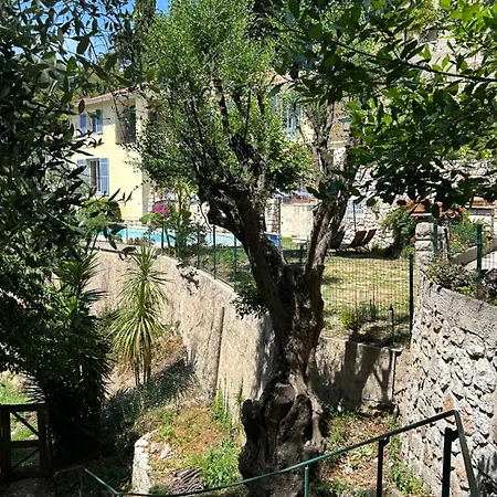 Des Ciappes Et Des Fees 芒通