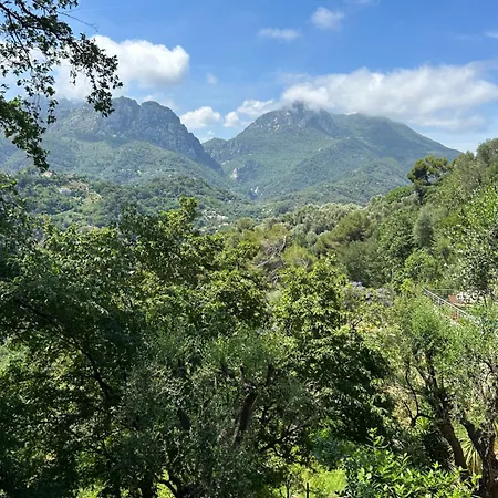 Des Ciappes Et Des Fées *