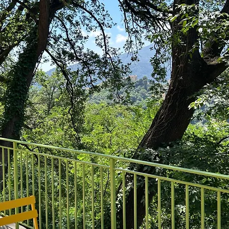 Des Ciappes Et Des Fees