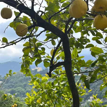Des Ciappes Et Des Fees * Menton